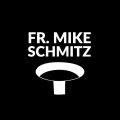 Fr. Mike Schmitz – Roman collar