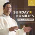 Fr. Mike Schmitz – Podcast – Sunday Homilies