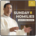 Fr. Mike Schmitz – Podcast – Sunday Homilies