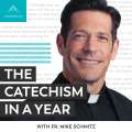 Fr. Mike Schmitz – Podcast – The Catechism in a Year