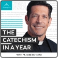 Fr. Mike Schmitz – Podcast – The Catechism in a Year
